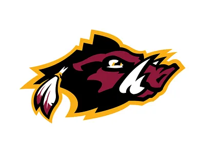 Sean's NFL - Washington Warthogs Concept Logo branding dc design football graphic design identity illustration illustrator logo nfl sports vector warthogs washington washington dc