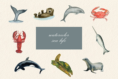 Watercolor Sea Life