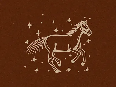 Chasing Stars adobe illustrator branding design graphic design illustration logo vector