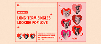 Adoption FB Banner for Pawsitive Alliance adoption cats dogs pets valentines day