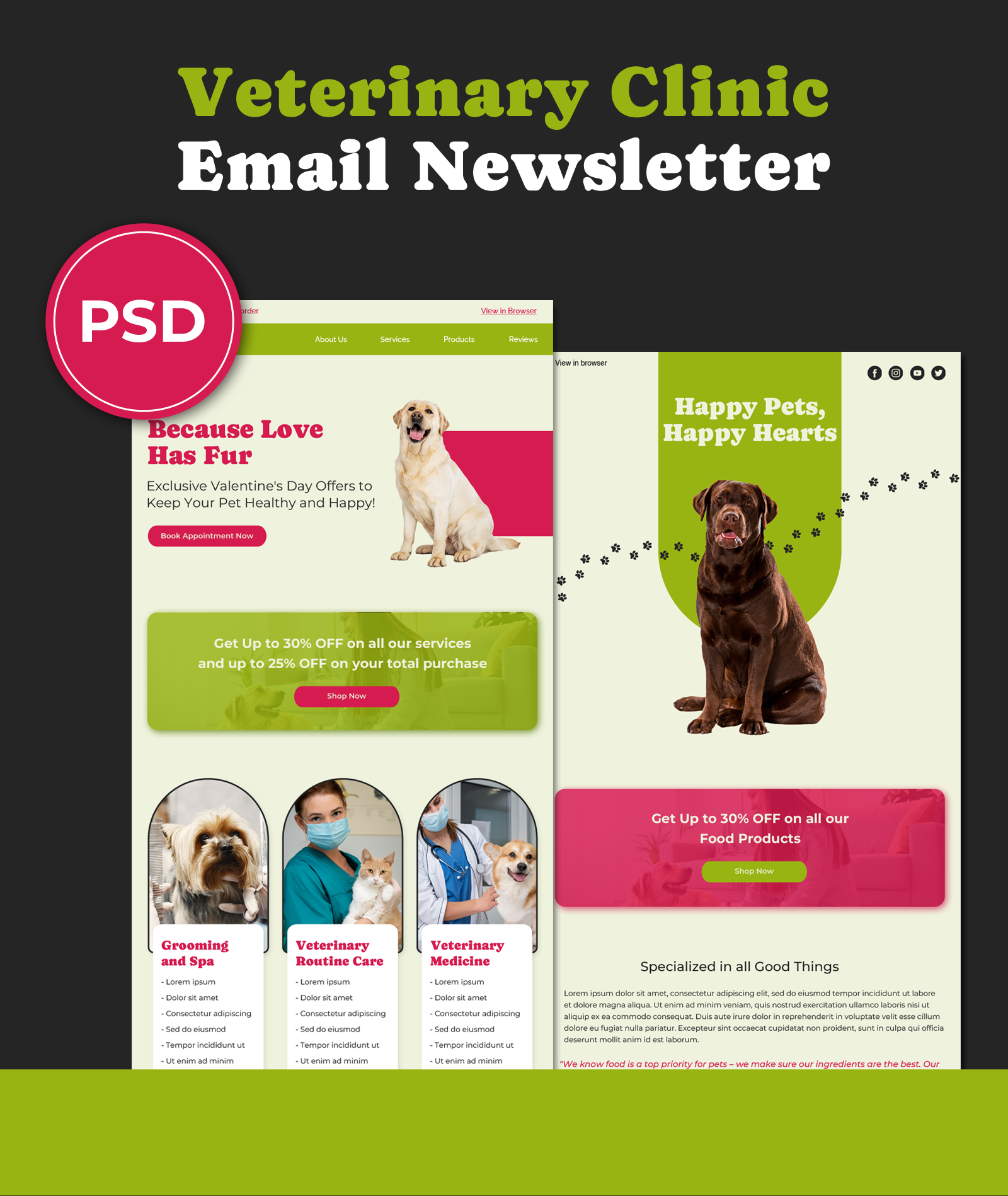 Veterinary Clinic Email Newsletter advertising e newsletter e newsletter template email email design email newsletter email newsletter design email newsletter template marketing newsletter vet veterinary clinic