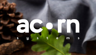 Acorn branding design graphic design identity logo logotype