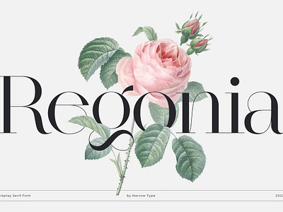 Reg onia Display Serif Typeface aesthetic alternates botanical classical clean didot display serif display serif typeface fashion geometric headlines high contrast large x height ligatures magazine modern reg onia display serif typeface serif stylistic alternates thin hairlines