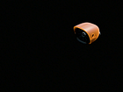 Example of Shot