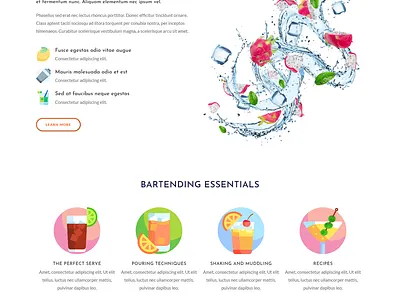 BARTENDER Course Website bartender course website course website wordpress website