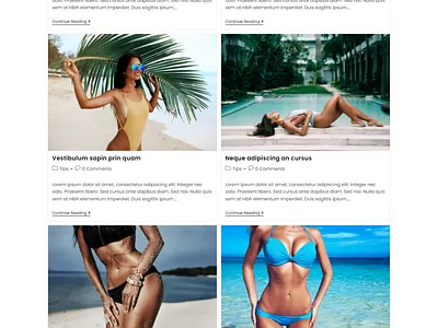 BIKINI E-Commerce Website bikini e commerce website wordpress website
