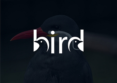 Bird logo design. best logo bird bird logo logo logo bird logo template mordant logo nice logo simple logo typography typography bird logo typography logo vector logo