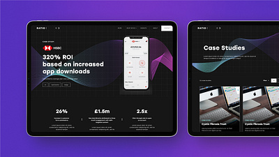 Website for Ratio data ui ux website