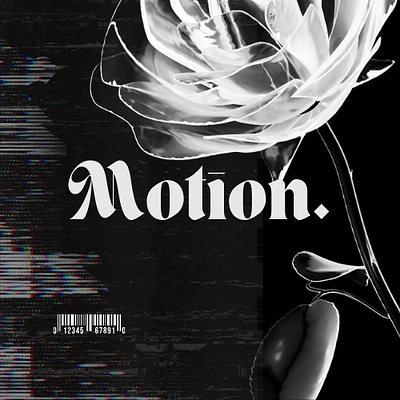 Motion. branding graphic design