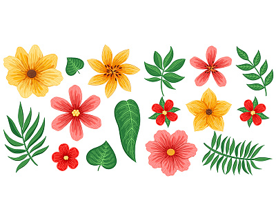 Floral colorful floral flower green illustration leaf leaves red tropical vector yellow