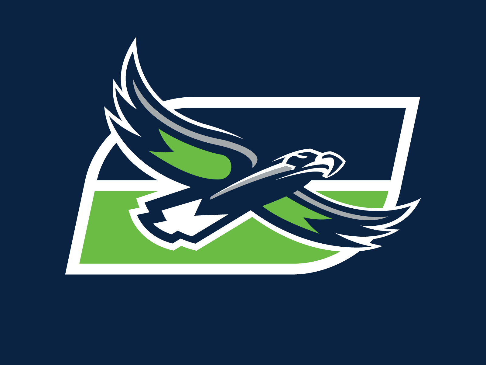 Sean's NFL - Seattle Seahawks Concept Logo by Sean McCarthy on Dribbble, image size:1600x1200