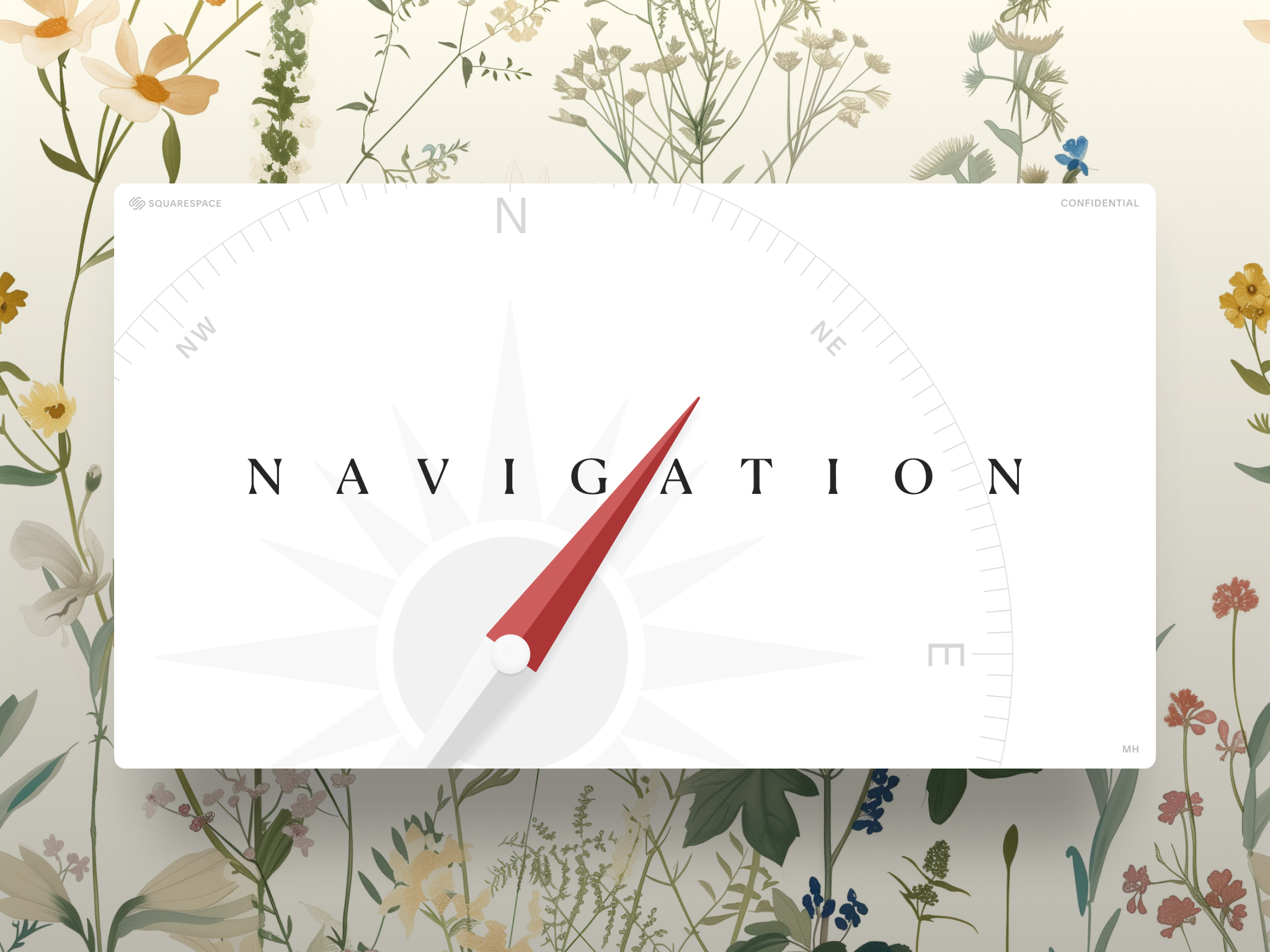 Deck Cover design graphic design illustration typography