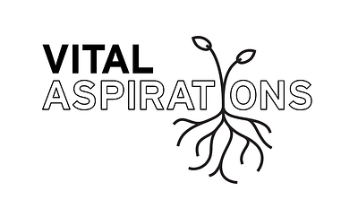 Vital Aspirations Concepts graphic design logo