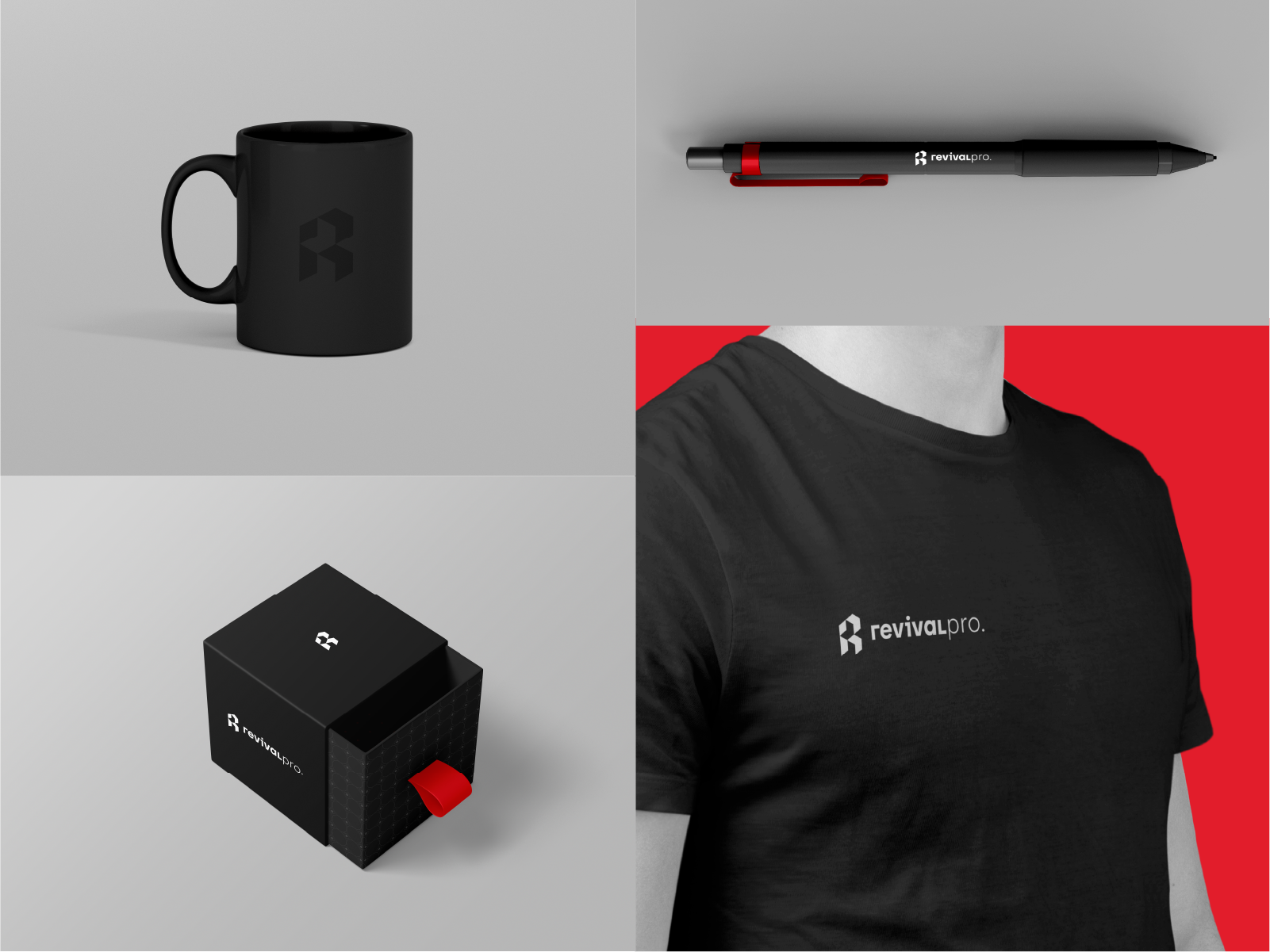 Example of Logo Design + Guidelines