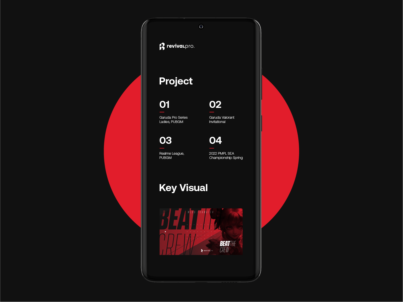 Example of Logo Design + Guidelines