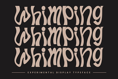 Whimping Experimental Display Typeface animation branding design font fonts graphic design illustration logo nostalgic ui