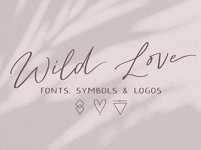 Script font Wild Love logos calligraphy display font fonts handwriting handwritten love romantic sans serif script script font script font wild love script font wild love logos signature wedding