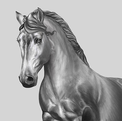 Horse Illustration art blackandwhite horse illustration pony