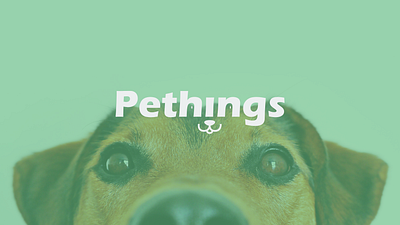 Pethings Brand Identity branding graphic design logo pet shop