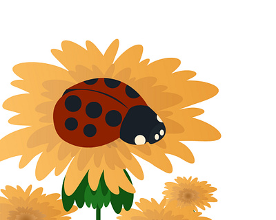 Ladybug adobe illustrator graphic design illustration