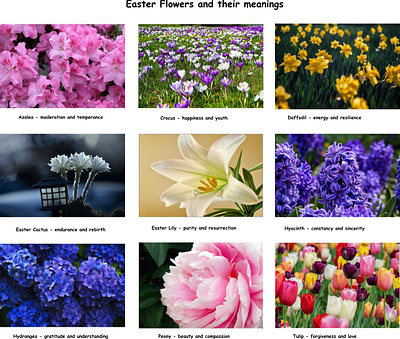 Easter Flowers - Symbolism and Meanings easter easter flowers easter flowers symbolism easter lily symbolism graphic design infographic meanings of easter flowers