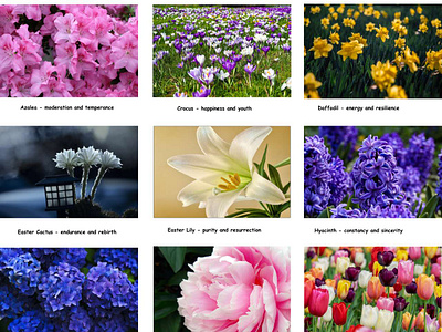 Easter Flowers - Symbolism and Meanings easter easter flowers easter flowers symbolism easter lily symbolism graphic design infographic meanings of easter flowers