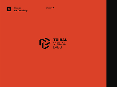 Trival Visual Labs, Logo Design branding culture graphic design icon logo mark multicultural tribal tribe unique