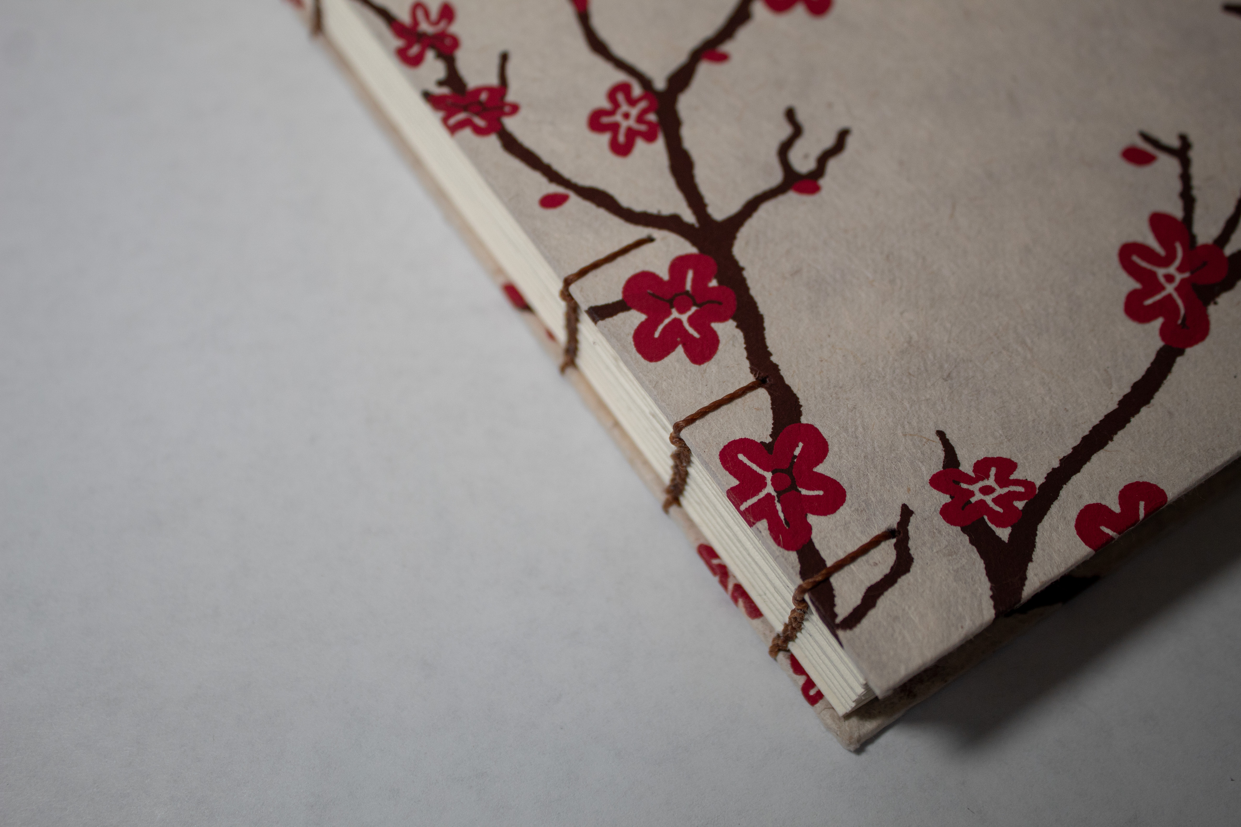 Example of Small Coptic Stitch Book