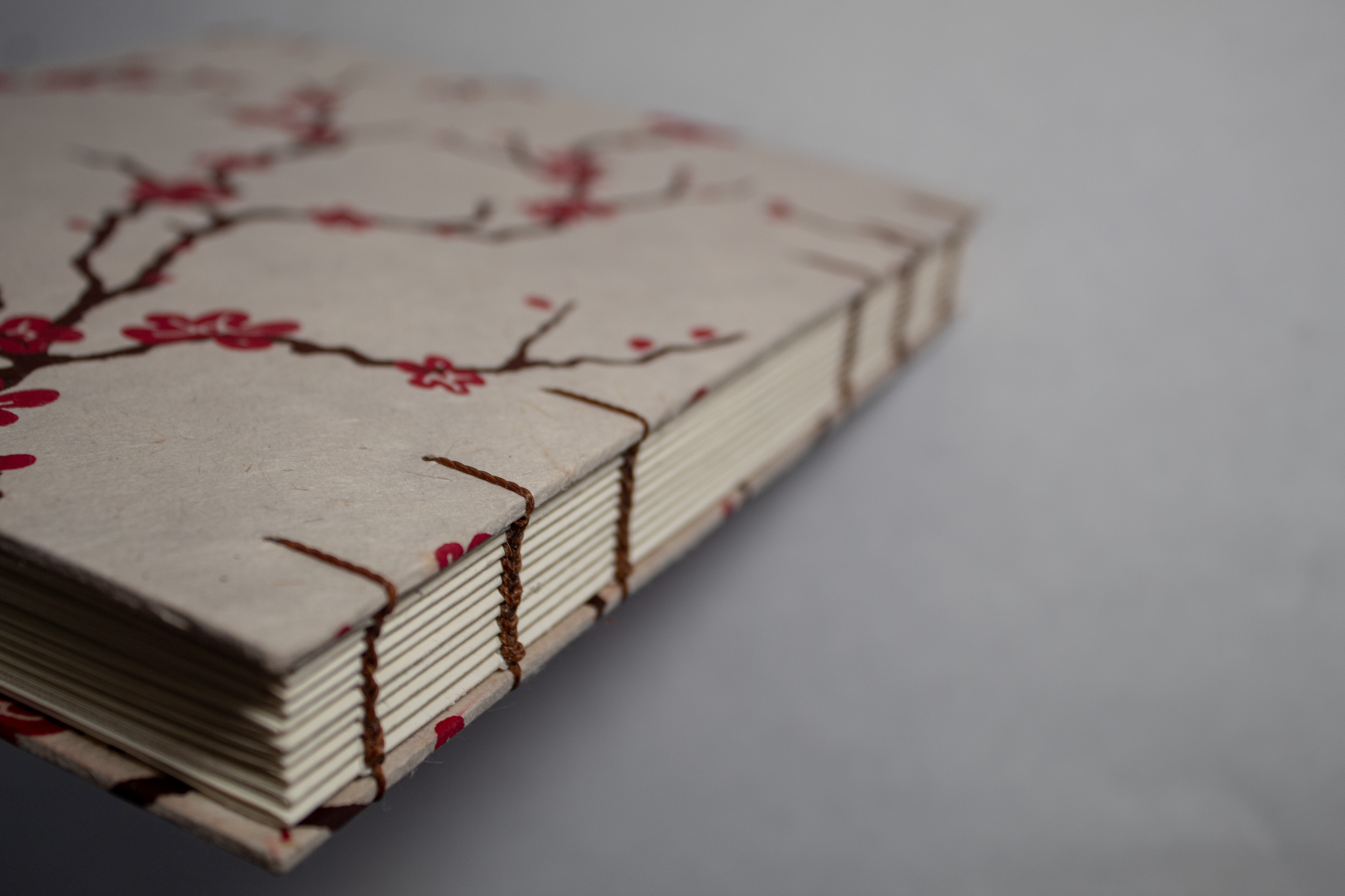 Example of Small Coptic Stitch Book