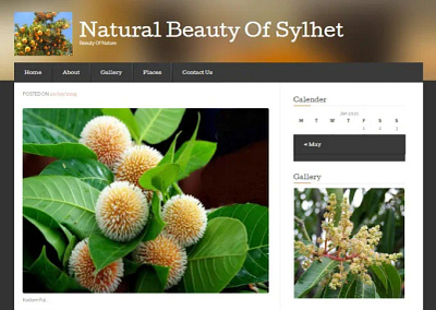 Natural Beauty Page Design graphic design ui design