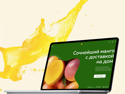 Concept of mango delivery / laptop concept design mango ui