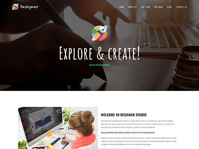 DESIGNER AGENCY Website designer agency website web designer web developer wordpress website