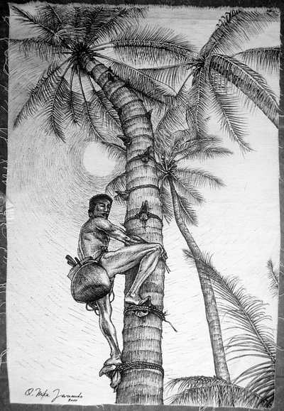 Ink pen drawing of man climbing to harvest coconut flower necta canvas ink pen sketch