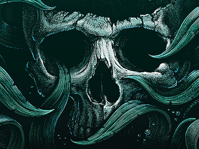 Whaler gin illustration oleggert sea skull whaler gin