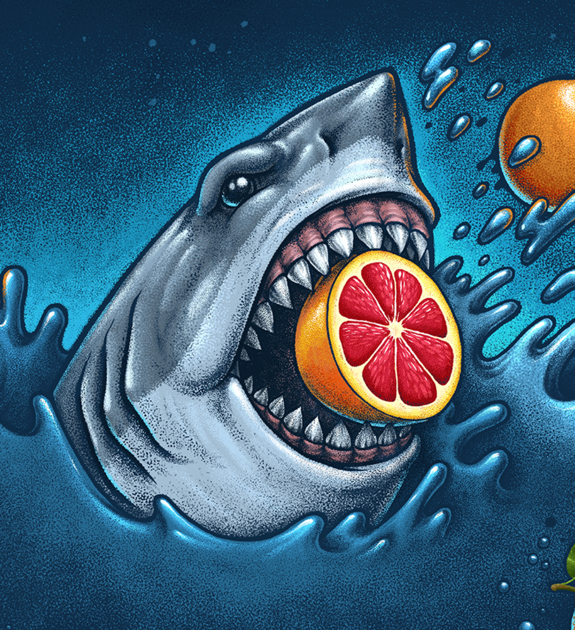 White shark animal illustration oleggert white shark