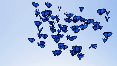 butterfly sim