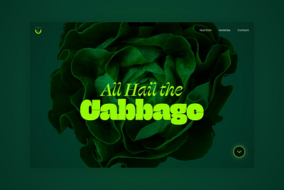 Cabbage queen - Hero & Dashboard animation desktop figma interactive loading typography ui ux