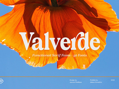 Valverde Functional Serif-36 Fonts beautiful font branding bundle font condensed typeface discretionary ligatures family font full headline font italic font ligature font magazine font modern font movie poster professional professional fonts quirky font serif display serif font bundle serif typeface