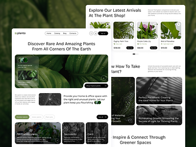 🌱PLANTO - Plant Shop Concept botanical concept design dribble shot e commerce figma figmadesign hello dribble minimalistic online shopping plant shop ui ux uxui web design