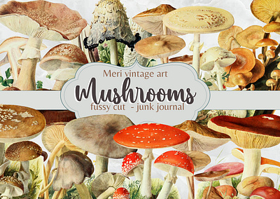 Mushroom fussy cuts scrapbooking branding clipart design ephemera graphic design illustration junk journal scrapbook