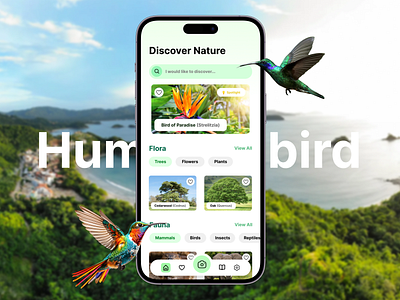 Hummingbird | Flora & Fauna Identification App animals app app design design flowers nature plants ui ui design uiux ux ux design