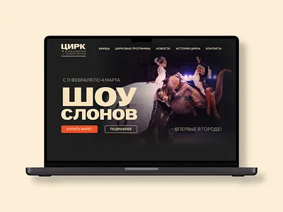Дизайн сайта branding design figma graphic design ui