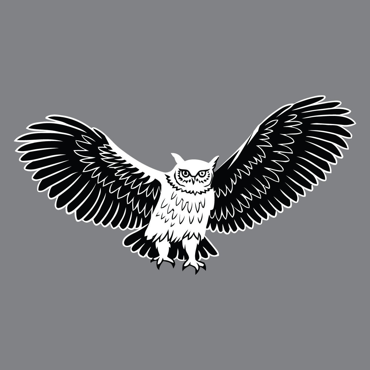 Eagle to Owl Variant Redesign by Md Latiful Islam on Dribbble