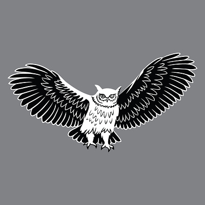 Eagle to Owl Variant Redesign 3d amazing t shirt animation branding clothing design graphic design logo minimal motion graphics t shi t shirt design t shirt logo ui