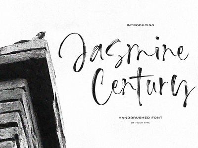 Jasmine Century - Handbrushed Font branding brush brush font design font fonts graphic design handbrush handbrushed handwritten font script script font wedding font