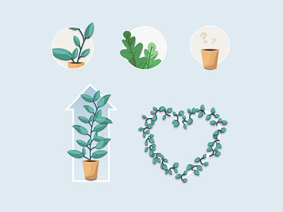 Leaflet - Plant illustrations