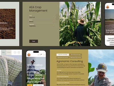 Advancing Eco Ag Website animation desctop grid interection mobile motion product ui ux web design wfn