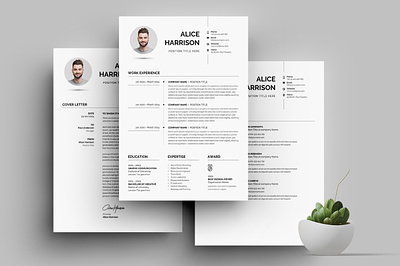 Minimal Resume Design 3 page