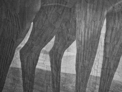 Racehorse after Houston, detail collage detail horse legs