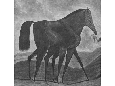 Racehorse after Houston collage dribbble horse horse illustration legs